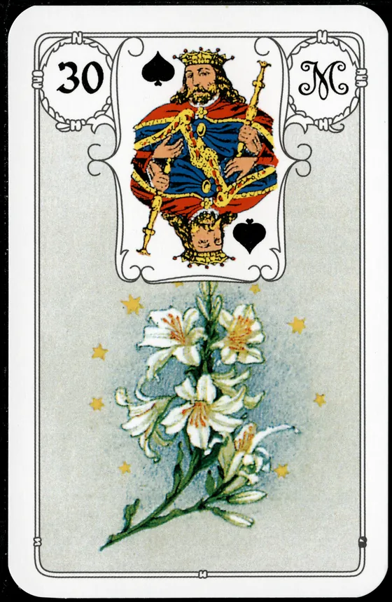 Carta 30 — Os Lírios (Petit Lenormand clássico)